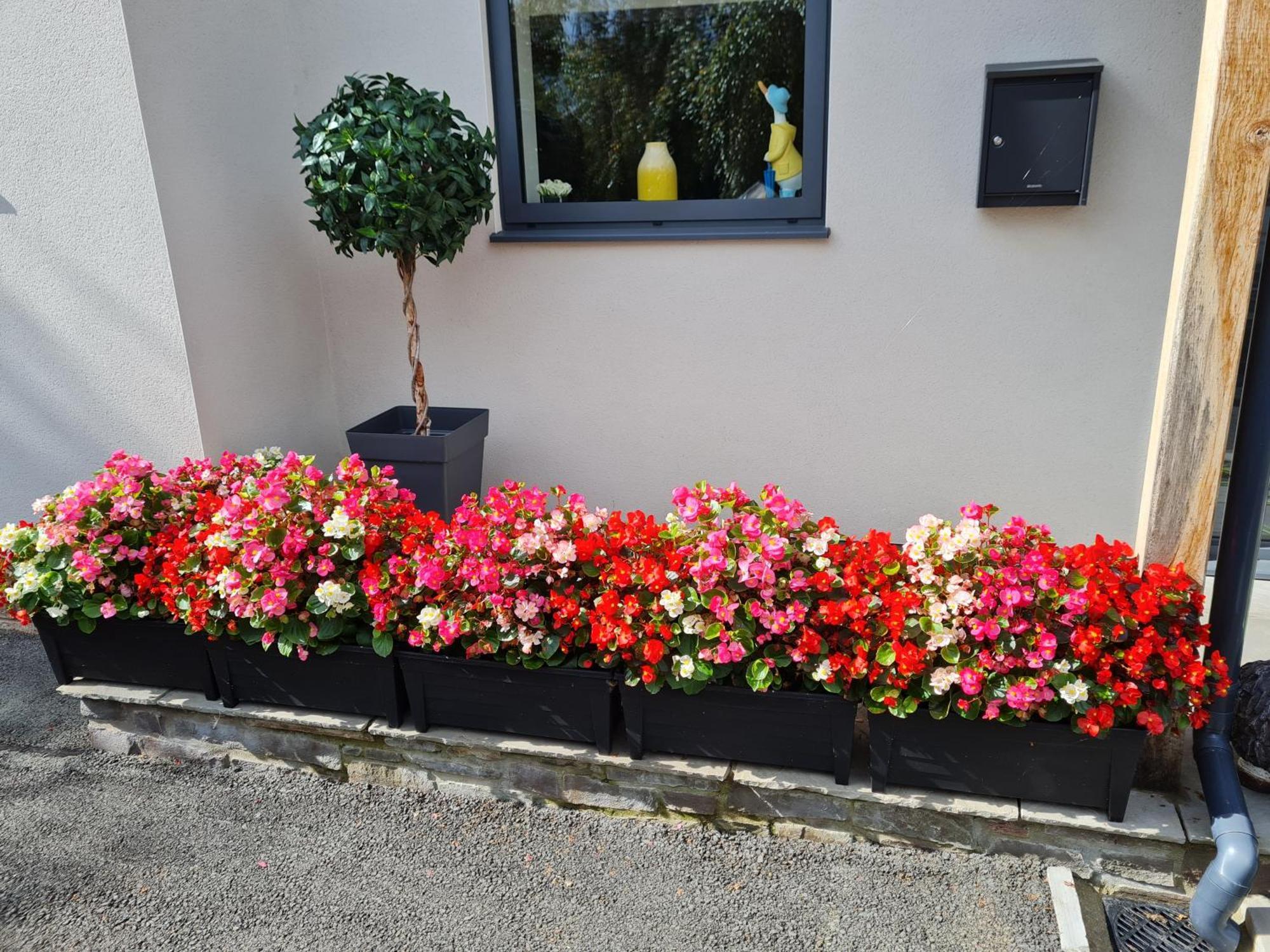 Camden Lodge B&B And Cottage Brecon Exterior foto