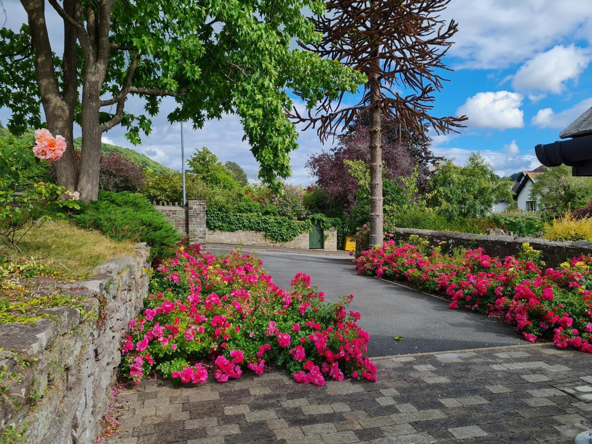 Camden Lodge B&B And Cottage Brecon Quarto foto